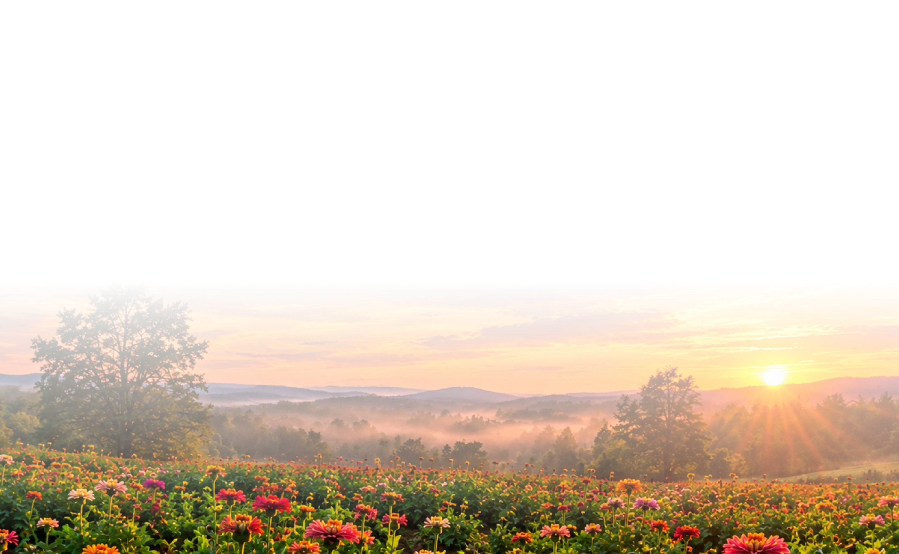Sunset over the farm